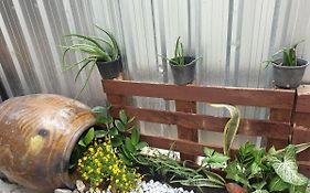 Tp Home